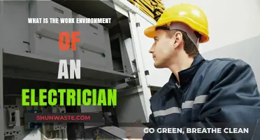 Exploring the Dynamic Work Environment of an Electrician