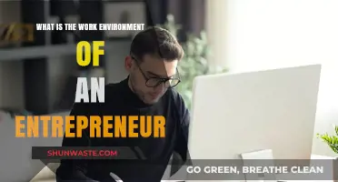 Entrepreneurial Work Environment: Dynamics, Challenges, and Success Strategies Explained