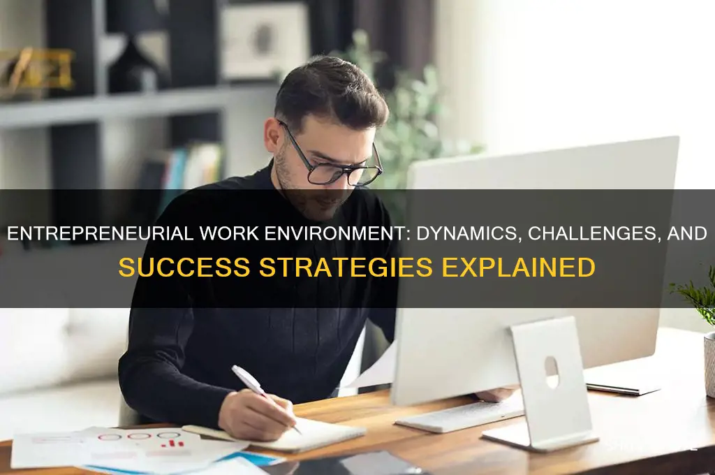 what is the work environment of an entrepreneur