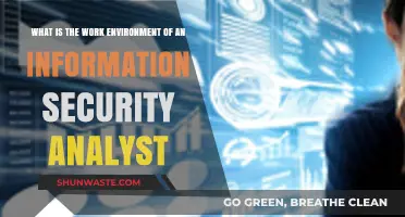 Exploring the Dynamic Work Environment of Information Security Analysts