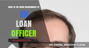 Exploring the Loan Officer's Work Environment: Roles, Challenges, and Rewards