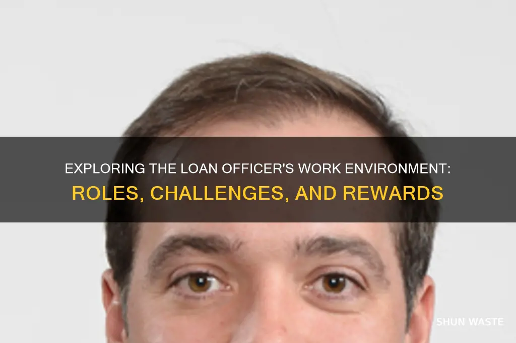 what is the work environment of an loan officer