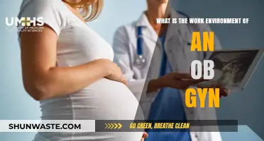 Exploring the OB-GYN Work Environment: Challenges, Rewards, and Daily Life