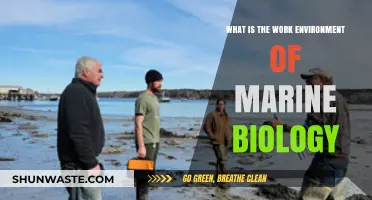 Exploring Marine Biology: Understanding the Unique Work Environment of Ocean Scientists