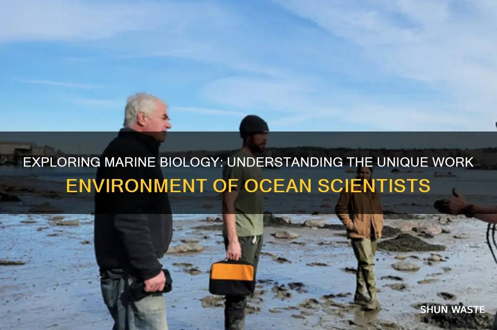 what is the work environment of marine biology