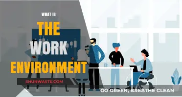 Exploring the Work Environment: Culture, Dynamics, and Productivity Factors