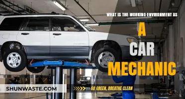 Exploring the Daily Life and Work Environment of a Car Mechanic