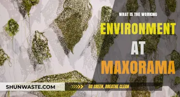 Exploring Maxorama's Collaborative and Innovative Workplace Culture and Environment