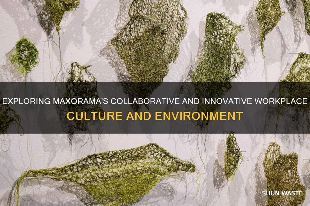 what is the working environment at maxorama