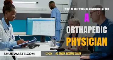 Orthopedic Physician Work Environment: Insights into Daily Practice and Challenges