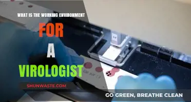 Exploring the Virologist's Workplace: Labs, Safety, and Research Dynamics