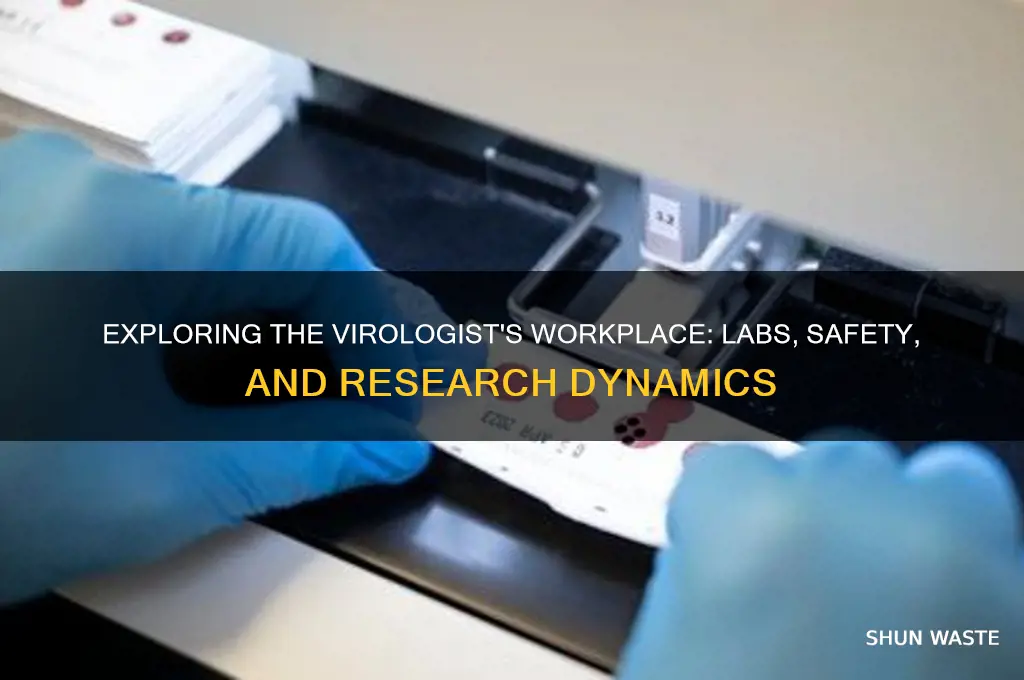 what is the working environment for a virologist