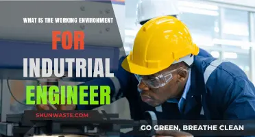 Exploring the Dynamic Work Environment of Industrial Engineers