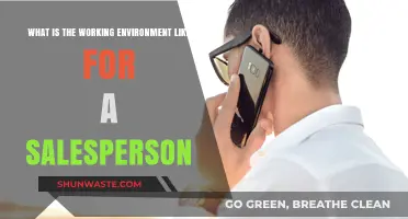 Exploring the Dynamic and Fast-Paced Salesperson Work Environment