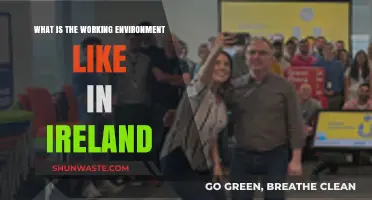 Exploring Ireland's Unique Work Culture and Office Environment