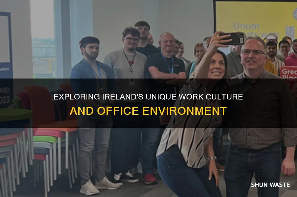 what is the working environment like in ireland
