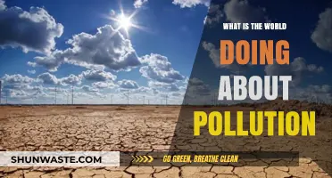Global Efforts to Combat Pollution