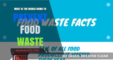 Global Efforts to Combat Food Waste: A Comprehensive Overview