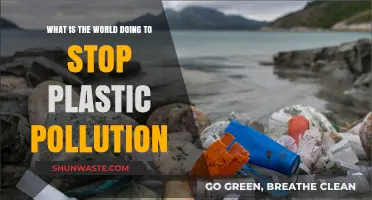 Global Efforts to End Plastic Pollution