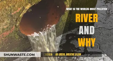 The World's Most Polluted River: A Troubled Flow