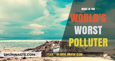 Who is the World's Worst Polluter?