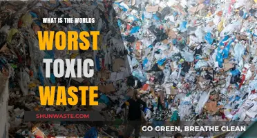 Deadly Legacies: Unveiling the World's Most Hazardous Toxic Waste Sites