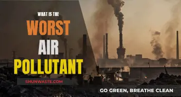 Air Pollution: The Most Harmful Toxin Revealed