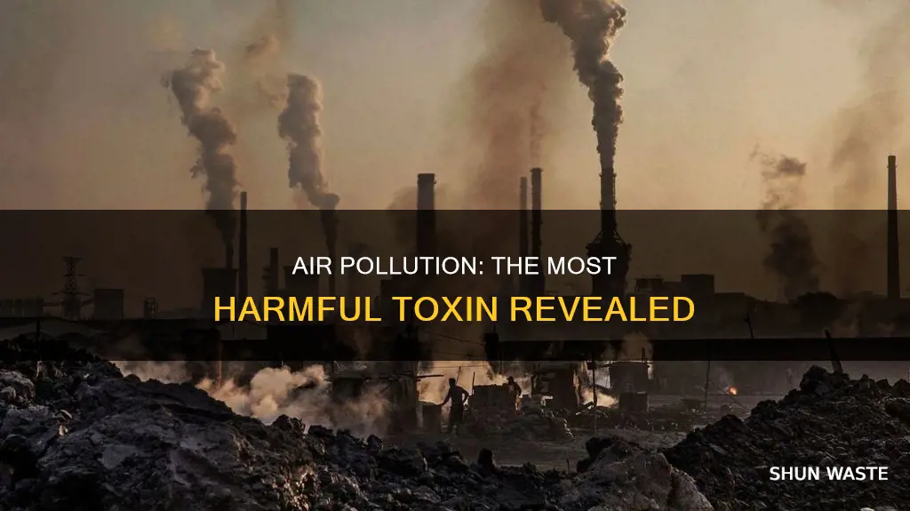 what is the worst air pollutant