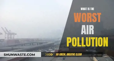 Deadly Air: The Worst Pollution Crises