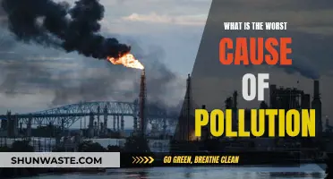 Unveiling the Darkest Source of Pollution: A Global Concern