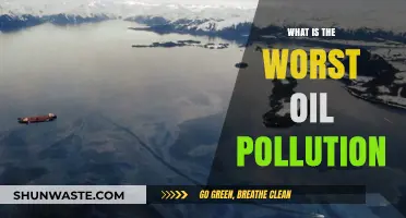 The Worst Oil Pollution Disasters: A Global Crisis