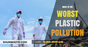 Plastic Pollution: The Worst Offenders Revealed