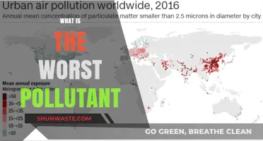 The Most Dangerous Pollutant and Its Impact