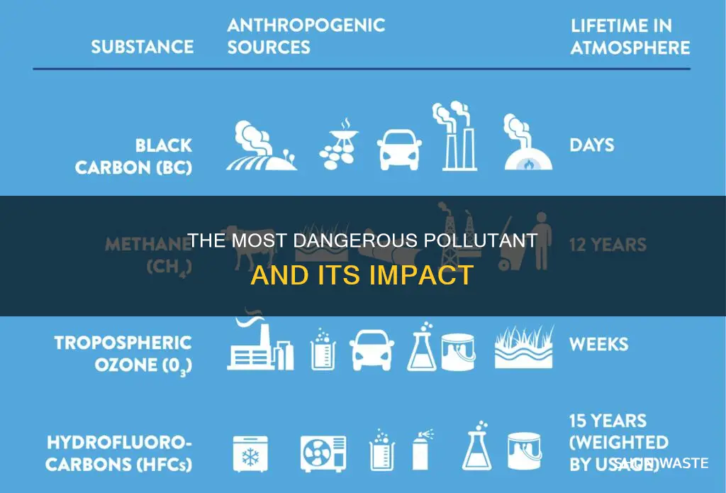 what is the worst pollutant