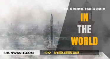 Polluted Countries: The World's Worst Offenders