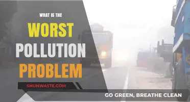The Deadliest Pollution: A Global Crisis