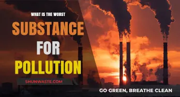The Most Dangerous Pollutant: A Global Crisis