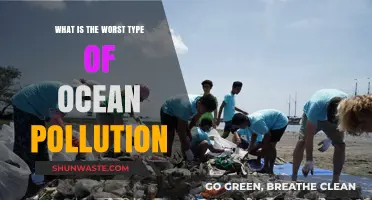 Deadly Ocean Pollution: Plastics and Their Toxins
