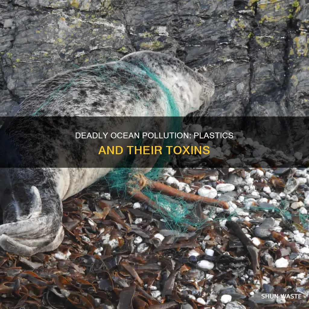 what is the worst type of ocean pollution