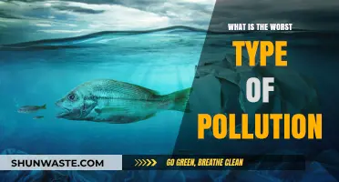 Deadly Pollution: The Worst Offenders and Their Impact