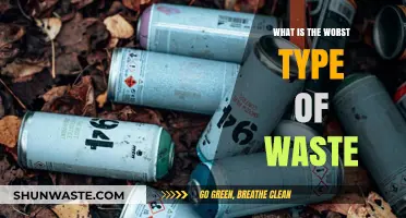 The Most Harmful Waste: Identifying the Worst Environmental Culprit