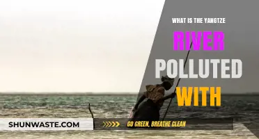 Yangtze River Pollution: Toxic Chemicals and Sewage