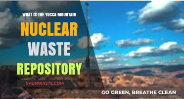 Understanding Yucca Mountain: America's Controversial Nuclear Waste Storage Solution