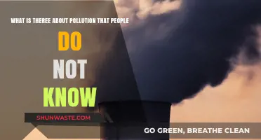 Unveiling Pollution's Unknown Facts and Impacts