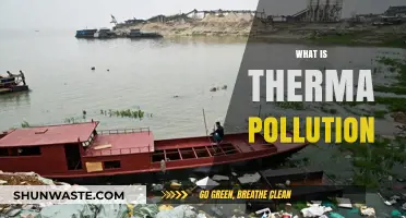 Thermal Pollution: A Growing Environmental Concern