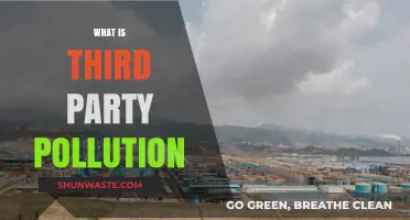 Third-Party Pollution: Who's Responsible?