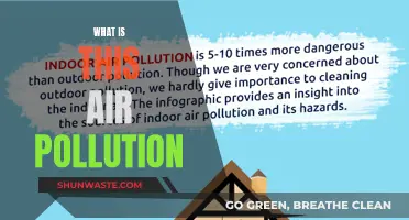 Air Pollution: A Threat to Our Planet