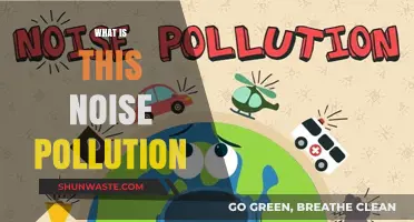 Understanding Noise Pollution: What's All the Fuss About?