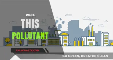 Air Pollutants: What's Harming Our Air?