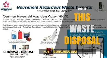 Understanding Waste Disposal: A Comprehensive Guide to Sustainable Practices